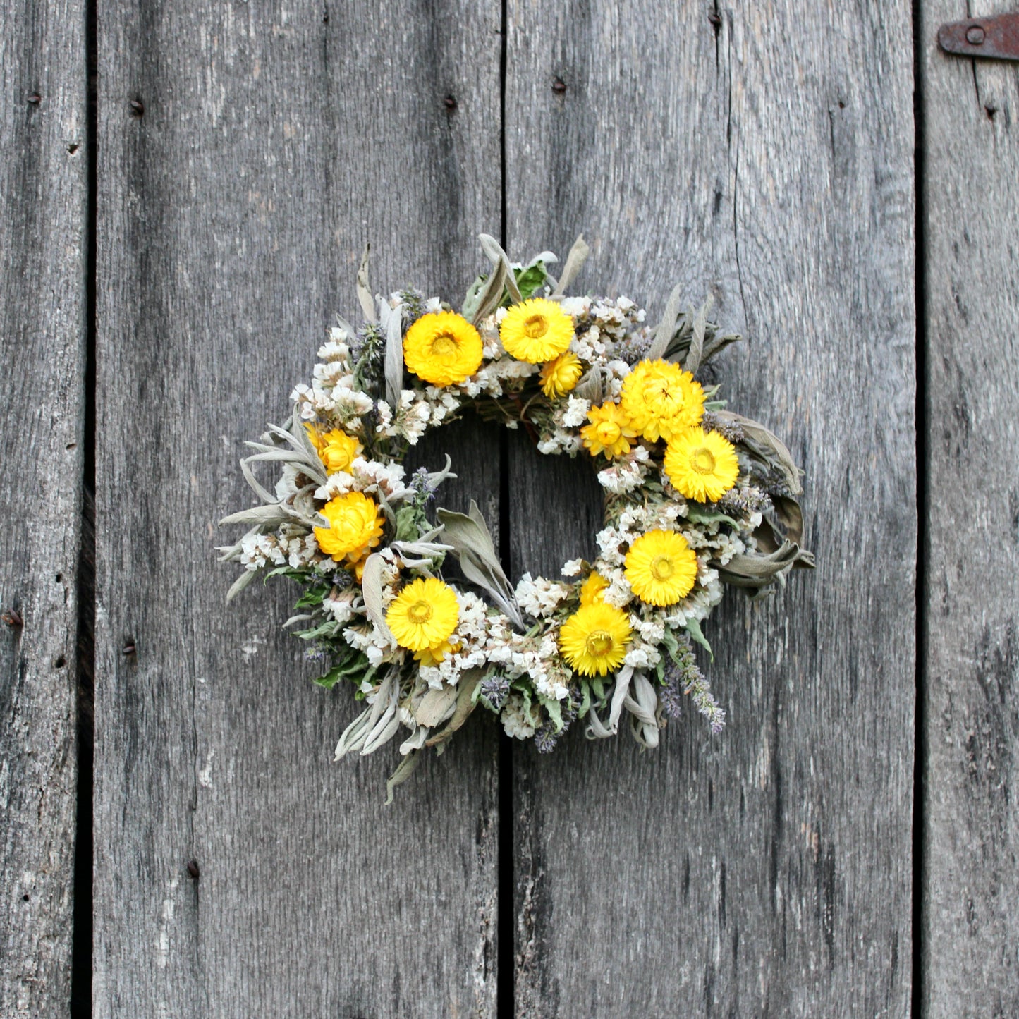 M. Small Wreath