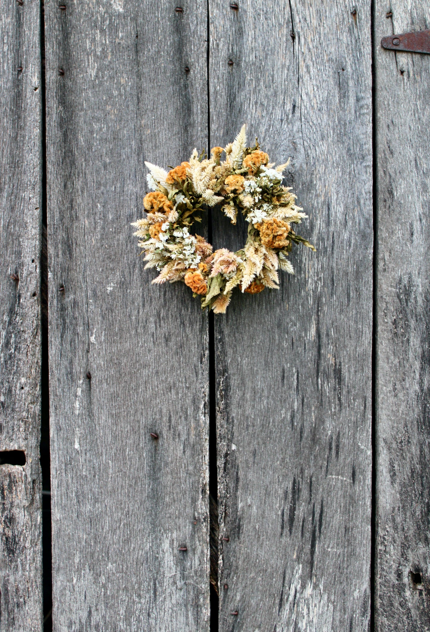 O. Tiny Wreath